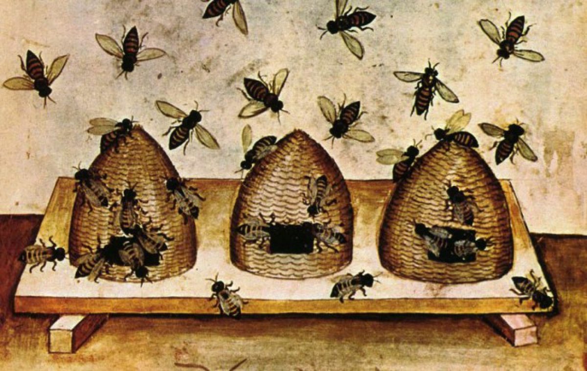 The Bee Blog by Rita Komendant