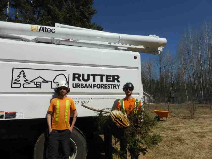 Rutter Guys and Hive web.jpg